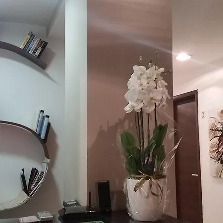 프라티인바티칸 B&B